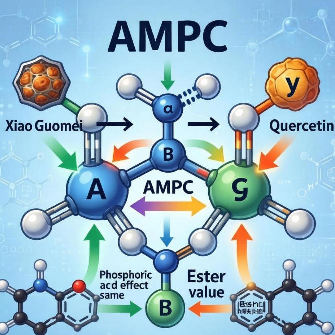 Berberine + Quercetin: The Synergy of Dual AMPK Activation