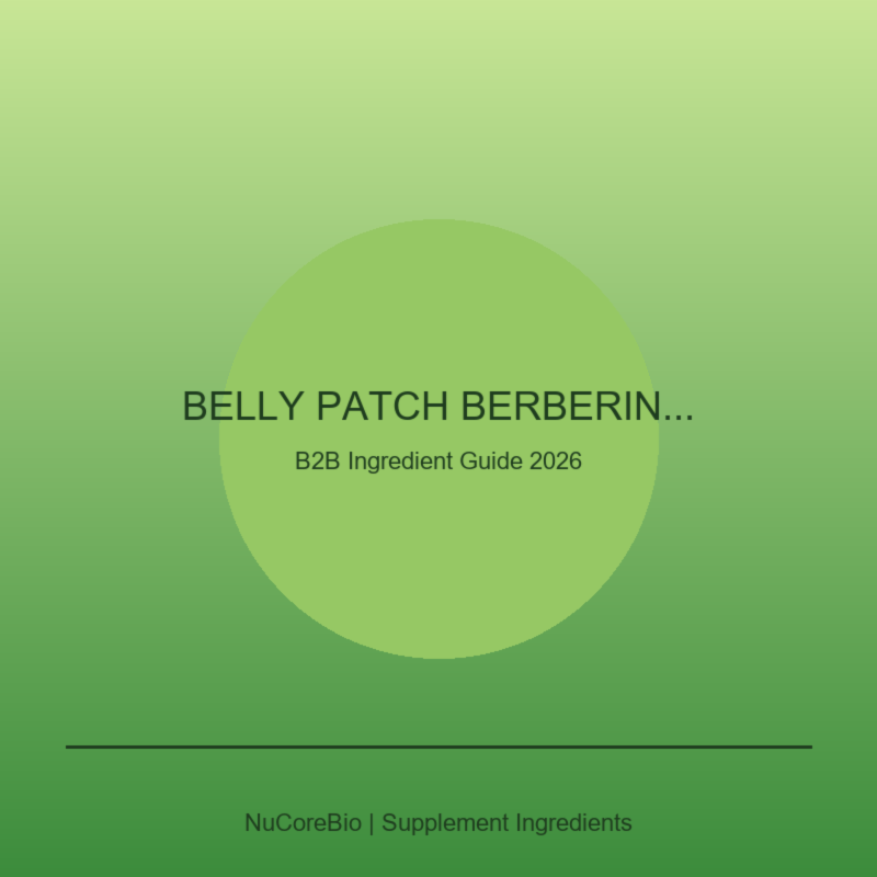 The Ultimate Belly Patch Berberine Buyer’s Guide (2026)