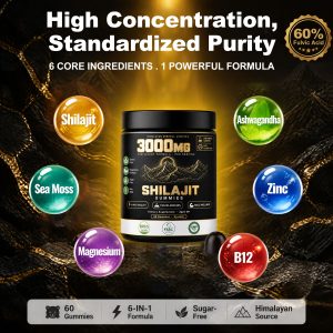 Bulk Shilajit Gummies OEM/ODM | Private Label 6-in-1 Male Vitality Blend Supplement Custom Manufacturing | 3000mg Himalayan Shilajit Extract 60% Fulvic Acid Wholesale - Image 2