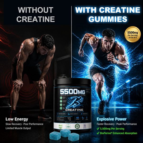 OEM Bulk Creatine Monohydrate Gummies 5500mg | Private Label Sports Supplement Formula Customization
