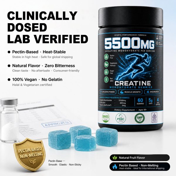 Bulk Creatine Monohydrate Gummies OEM | Private Label 3-in-1 Muscle Sport Supplement Wholesale