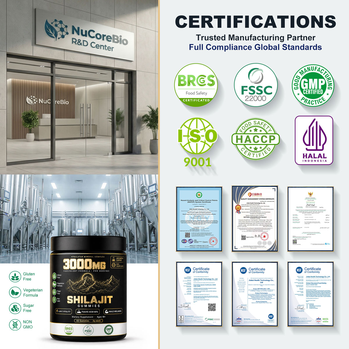Bulk Shilajit Gummies OEM/ODM | Private Label 6-in-1 Male Vitality Blend Supplement Custom Manufacturing | 3000mg Himalayan Shilajit Extract 60% Fulvic Acid Wholesale - Image 5