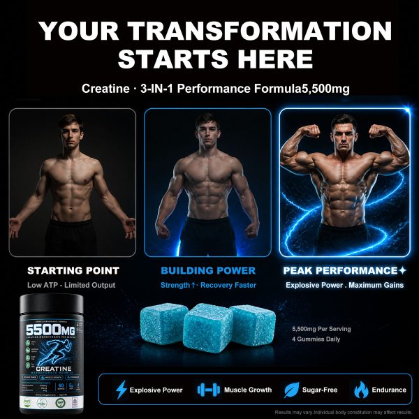 Bulk Creatine Monohydrate Gummies OEM | Private Label 3-in-1 Muscle Sport Supplement Wholesale