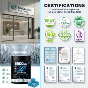 OEM Bulk Creatine Monohydrate Gummies 5500mg | Private Label Sports Supplement Formula Customization - Image 6