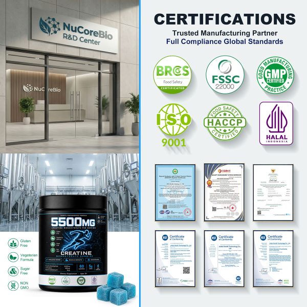 OEM Bulk Creatine Monohydrate Gummies 5500mg | Private Label Sports Supplement Formula Customization