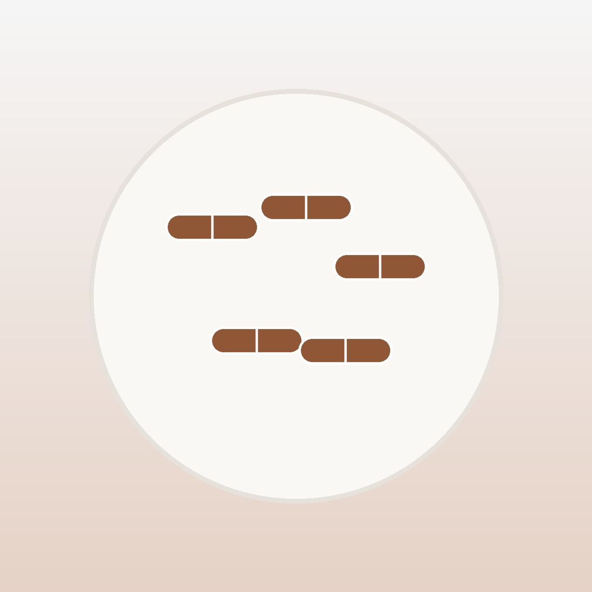 Centered capsule shapes on a neutral background for a tongkat ali private label supplier article.