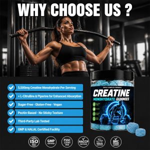 Creatine Monohydrate Gummies Bulk Wholesaler | Custom Private Label Sports Supplements OEM/ODM Factory - Image 3