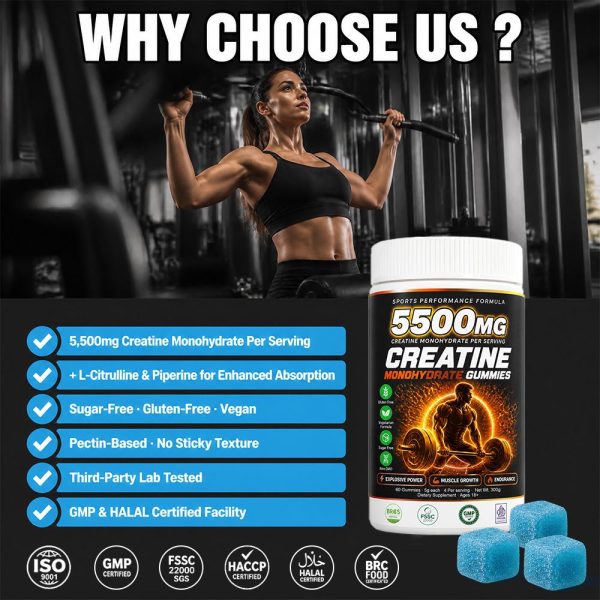 Bulk Creatine Monohydrate Gummies Wholesale | Private Label Sports Performance Supplements OEM/ODM