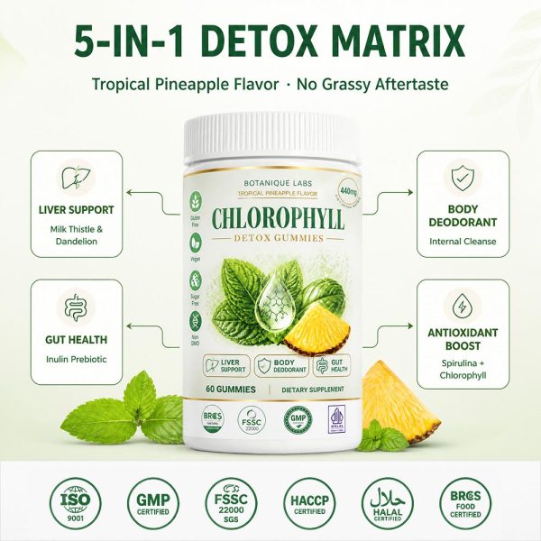 OEM/ODM 5-in-1 Chlorophyll Detox Gummies Bulk | Private Label Active Peptide Supplement Manufacturer