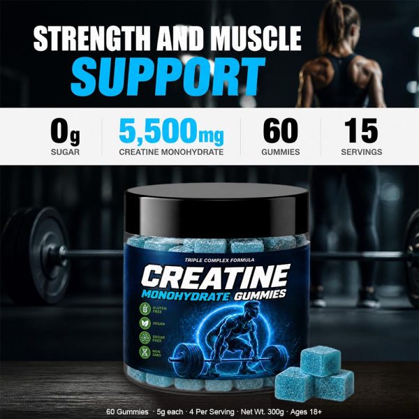 Creatine Monohydrate Gummies Bulk Wholesaler | Custom Private Label Sports Supplements OEM/ODM Factory