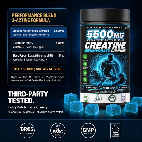 Bulk Creatine Gummies for Private Label | Sports Nutrition Supplement Contract Manufacturer OEM
