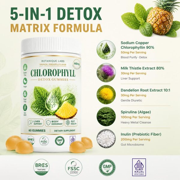 OEM/ODM 5-in-1 Chlorophyll Detox Gummies Bulk | Private Label Active Peptide Supplement Manufacturer