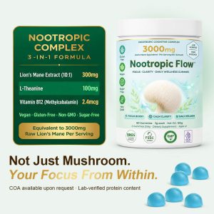 Private Label Lion's Mane Gummies | Custom Nootropic Peptide Supplement OEM/ODM | Low MOQ Cognitive Formulation - Image 3
