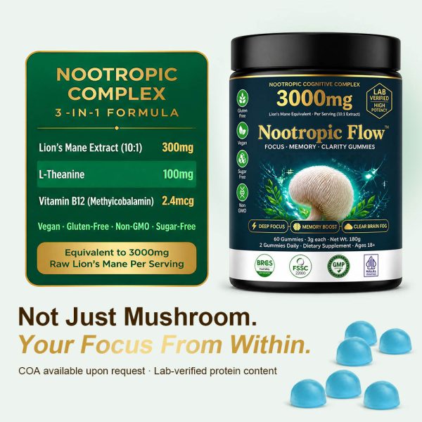 Private Label Lion's Mane Memory Gummies | Custom Brain Peptide Supplement OEM/ODM | Low MOQ Nootropic